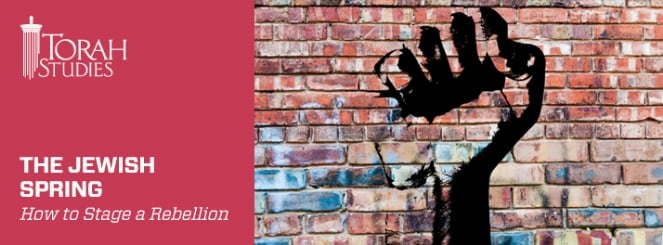 Spring Jewish Chabad Weekly Newsletter